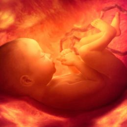 জন্মকালীন সময়ে গ্রহের যোগ সৃষ্টি ও শুভাশুভ ফল রিপোর্ট